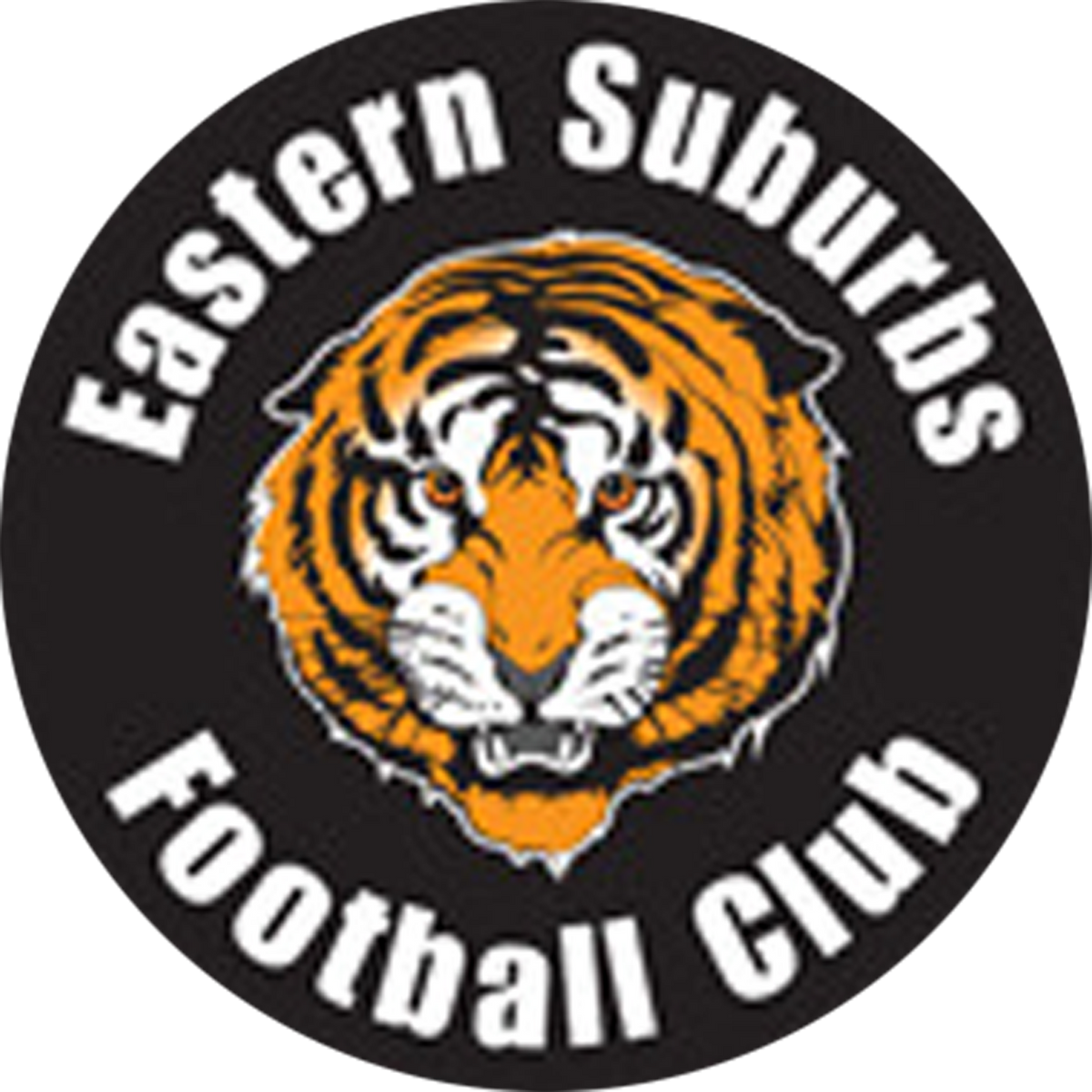 Eastern Suburbs FC Club – Medal Shots Pty Ltd